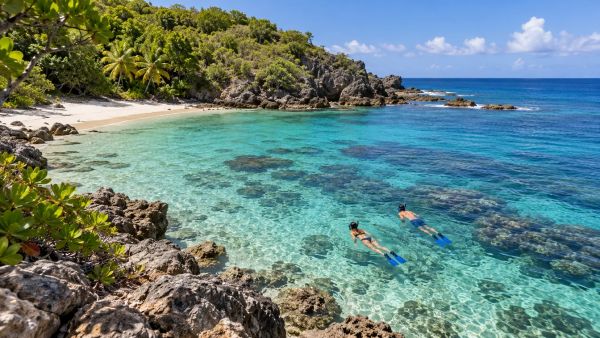 Les meilleurs trésors à découvrir lors de votre voyage en Guadeloupe