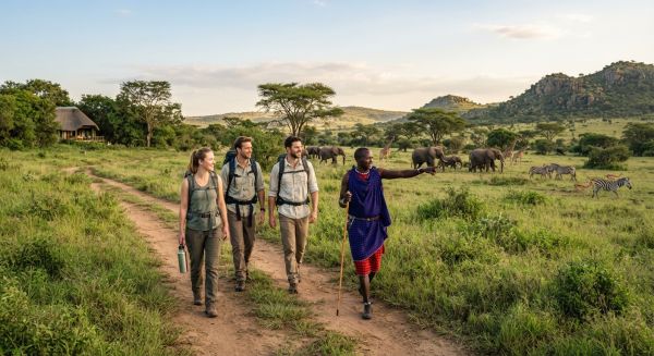 Voyager responsable : l'éco-tourisme en afrique à découvrir